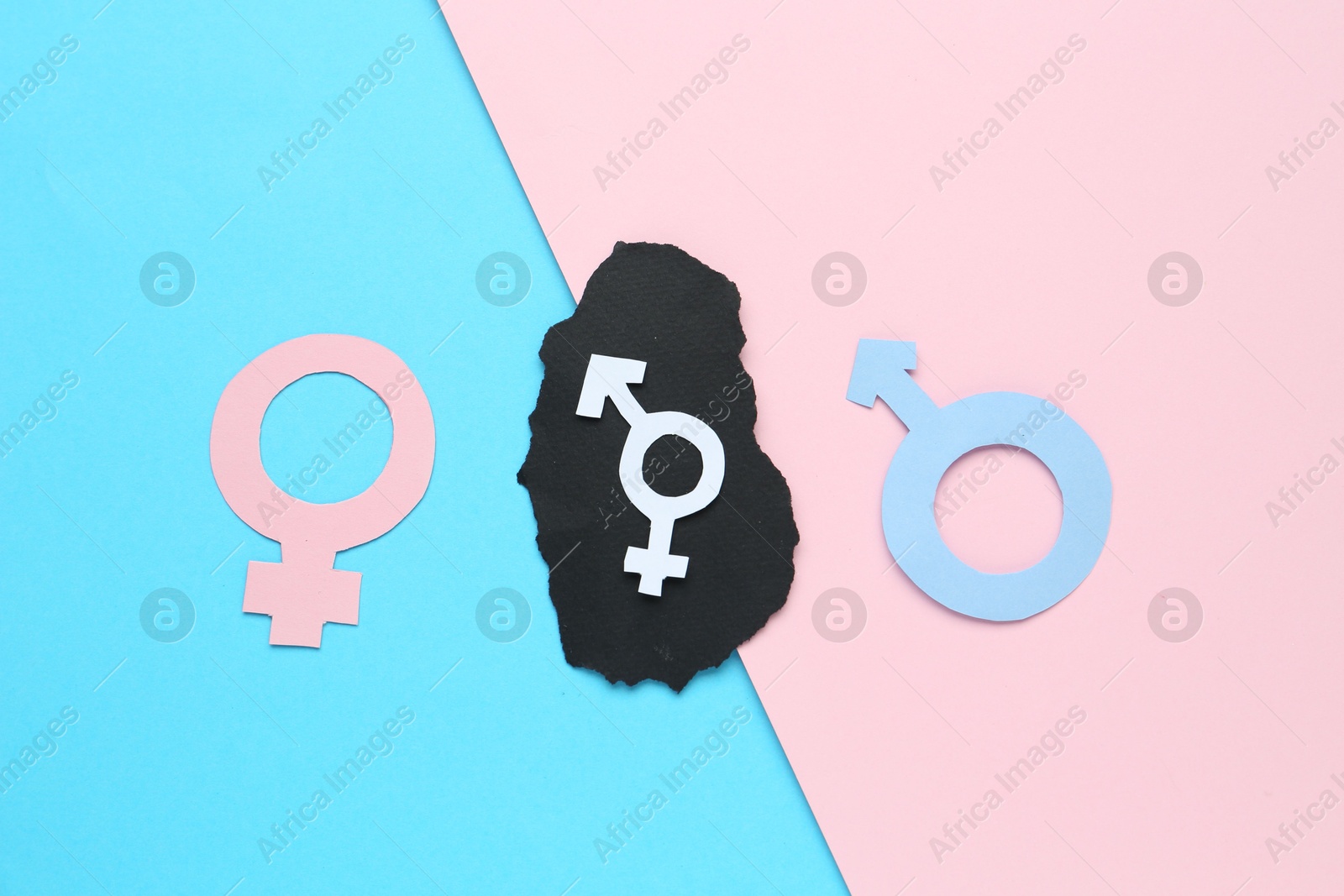 Photo of Gender equality concept. Male and female symbols on color background, flat lay