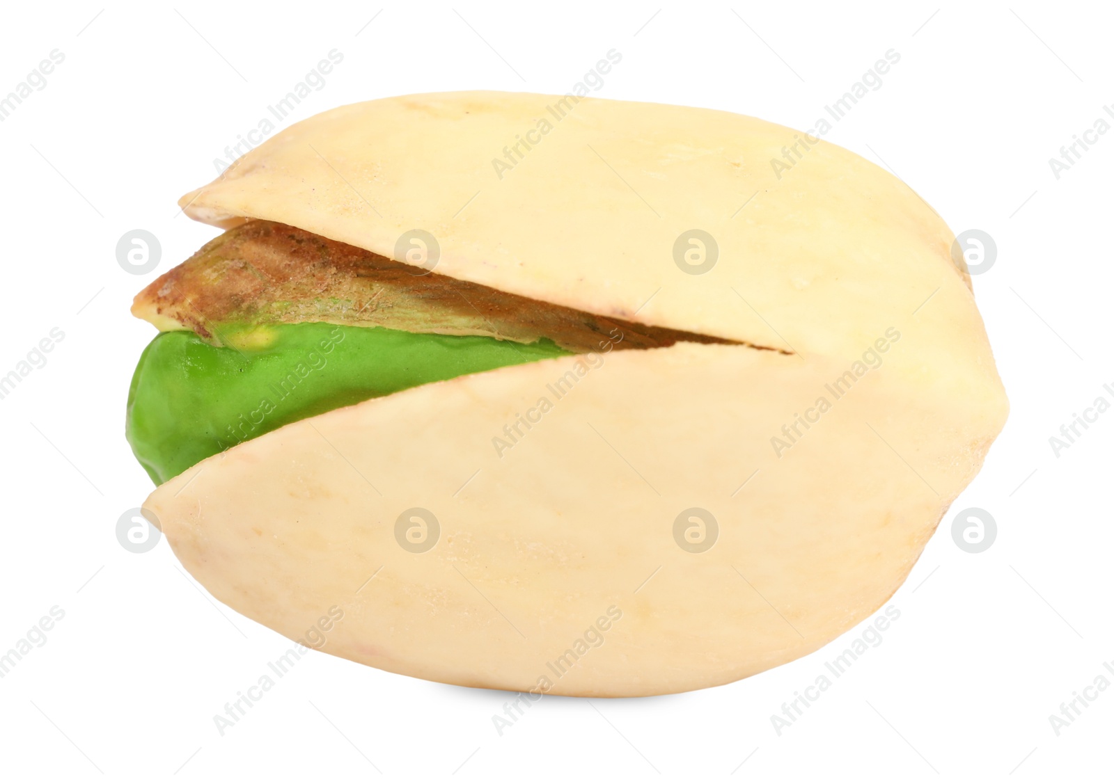 Photo of One tasty pistachio nut isolated on white