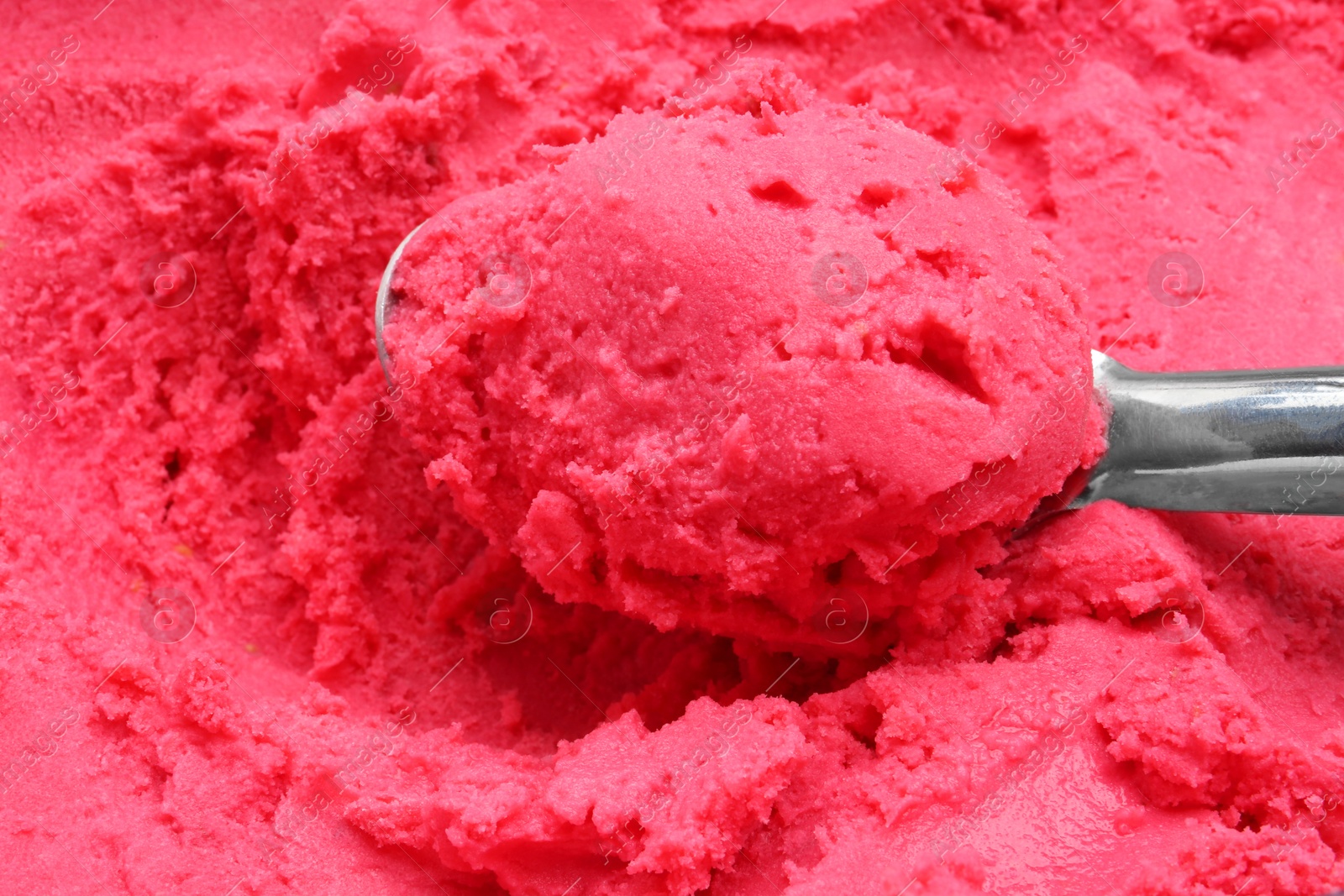 Photo of Scoop of tasty berry sorbet, closeup view