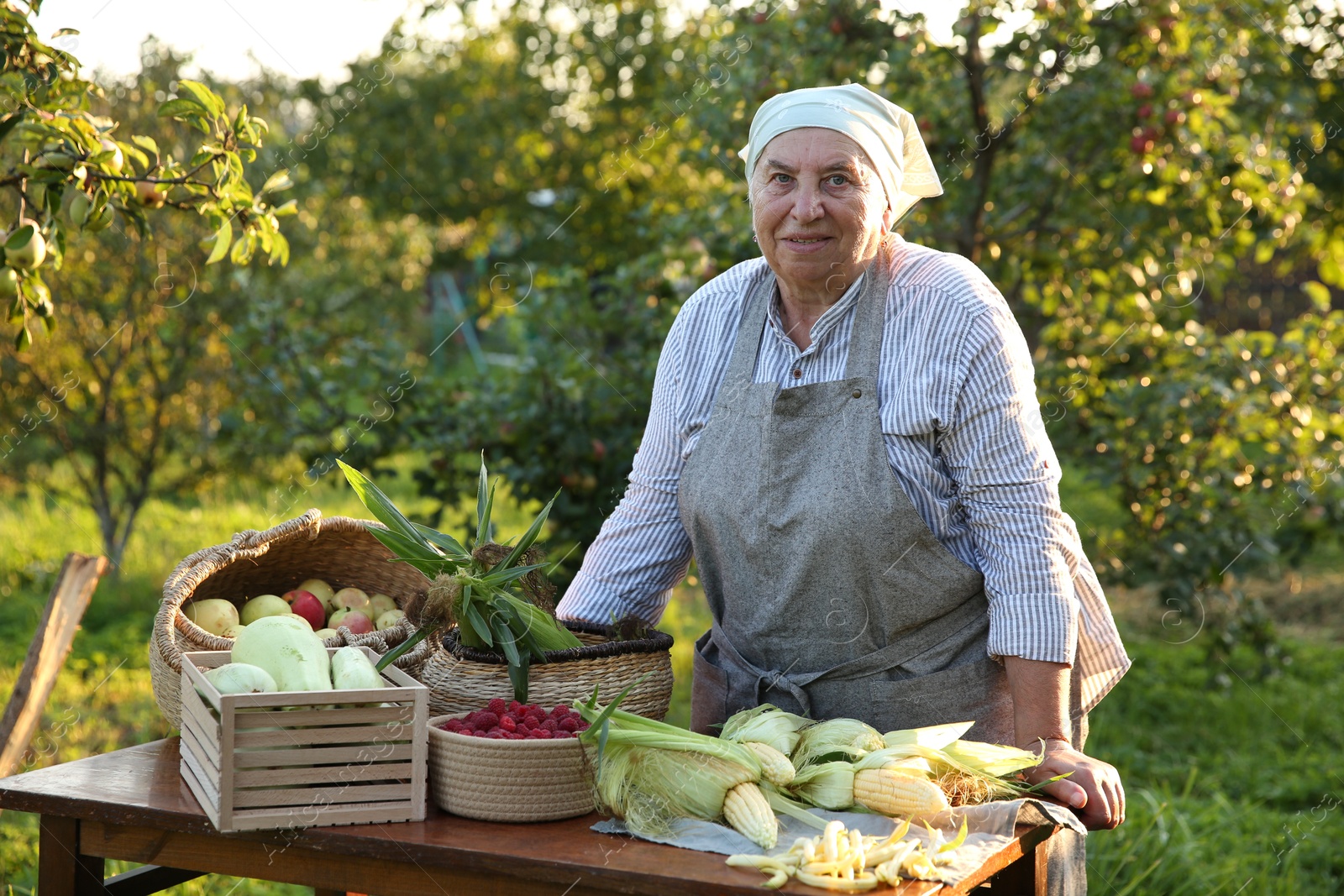 Photo of Senior farmer with different fresh products at wooden table outdoors