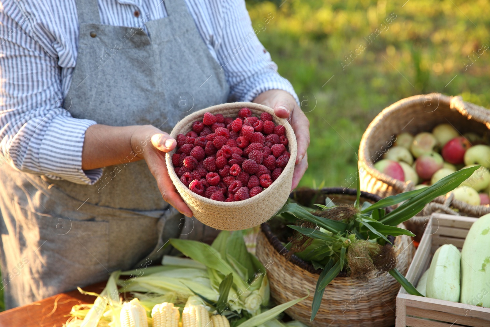 Photo of Senior farmer with different fresh products outdoors, closeup