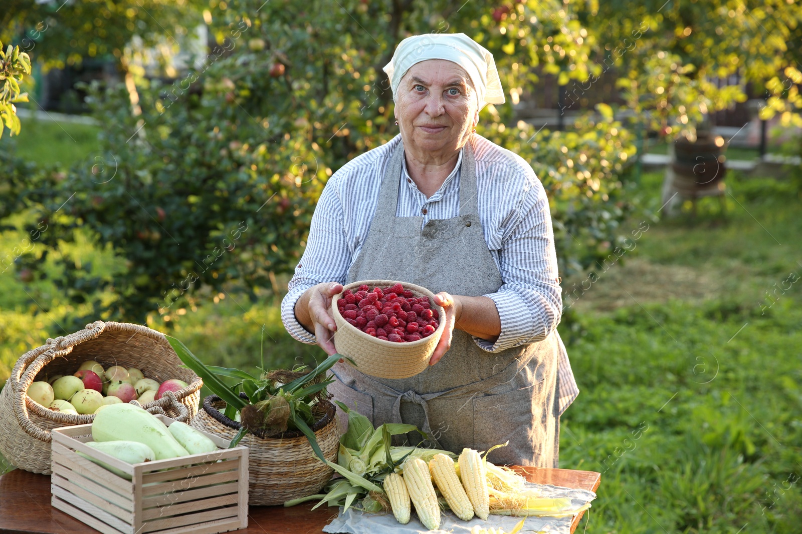 Photo of Senior farmer with different fresh products outdoors