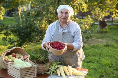 Photo of Senior farmer with different fresh products outdoors