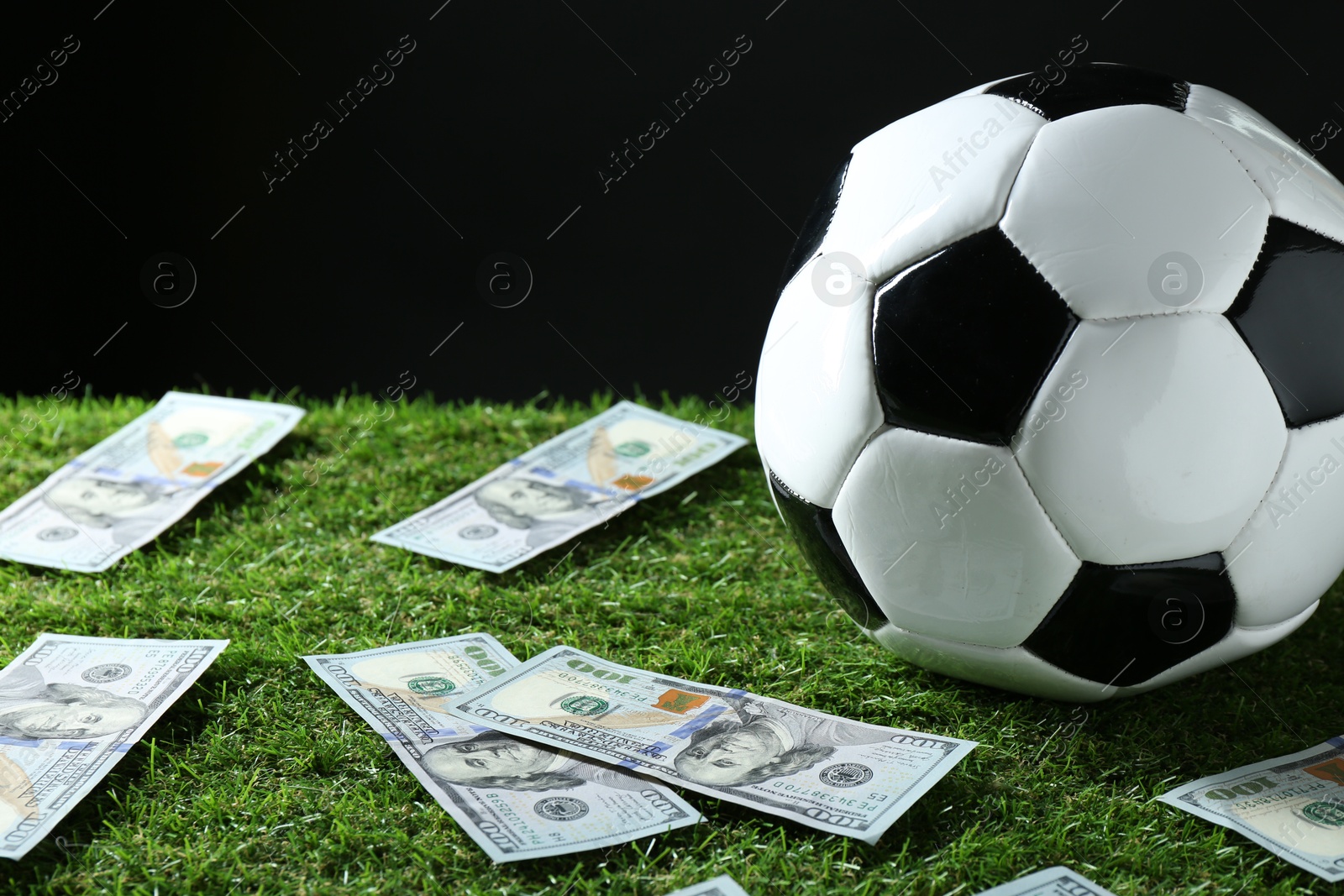 Photo of Soccer ball and dollar banknotes on green grass