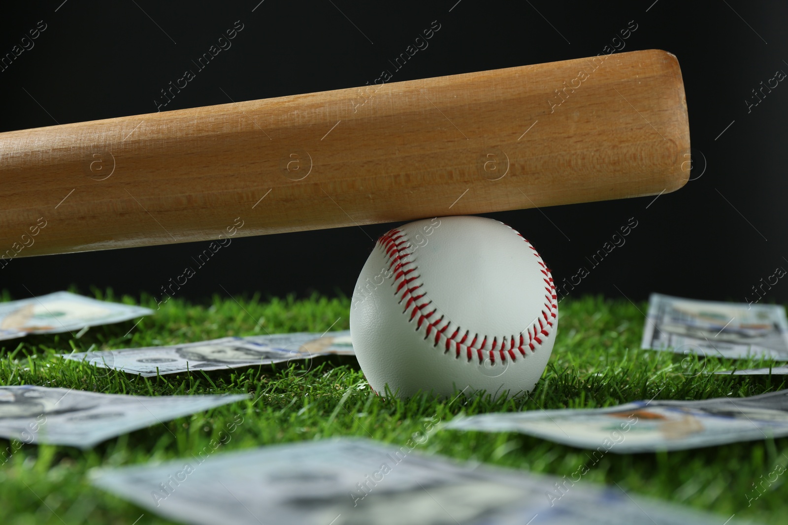 Photo of Baseball ball, bat and dollar banknotes on green grass, closeup