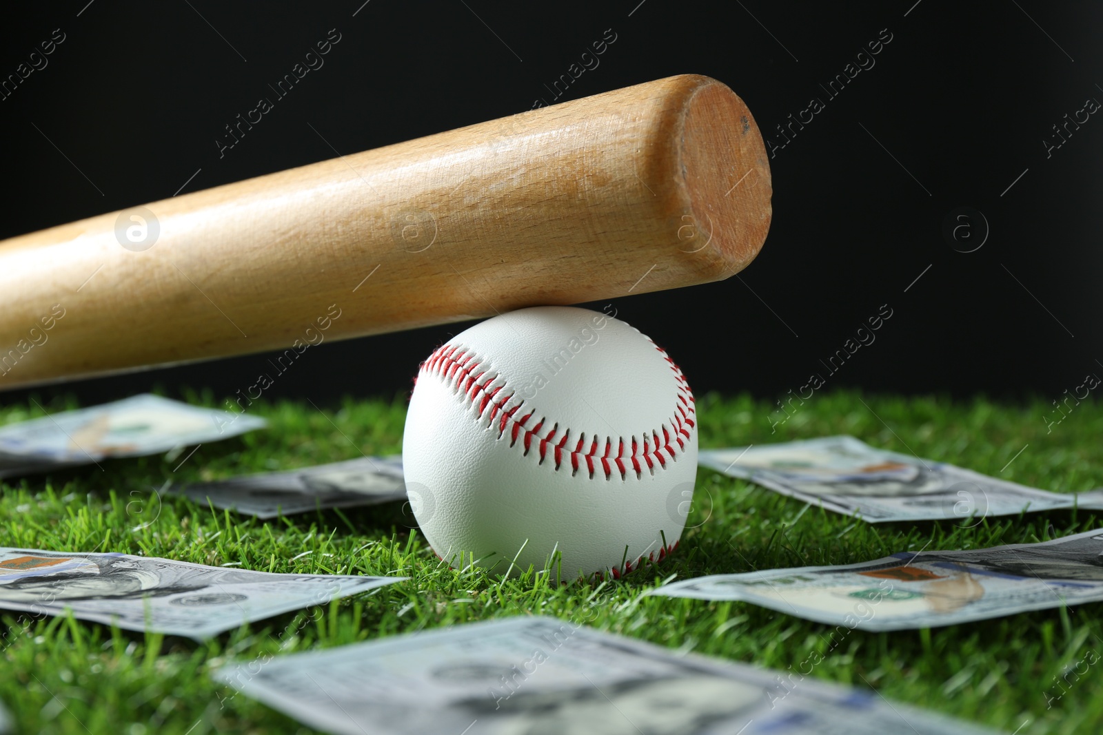 Photo of Baseball ball, bat and dollar banknotes on green grass, closeup