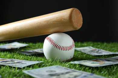 Photo of Baseball ball, bat and dollar banknotes on green grass, closeup