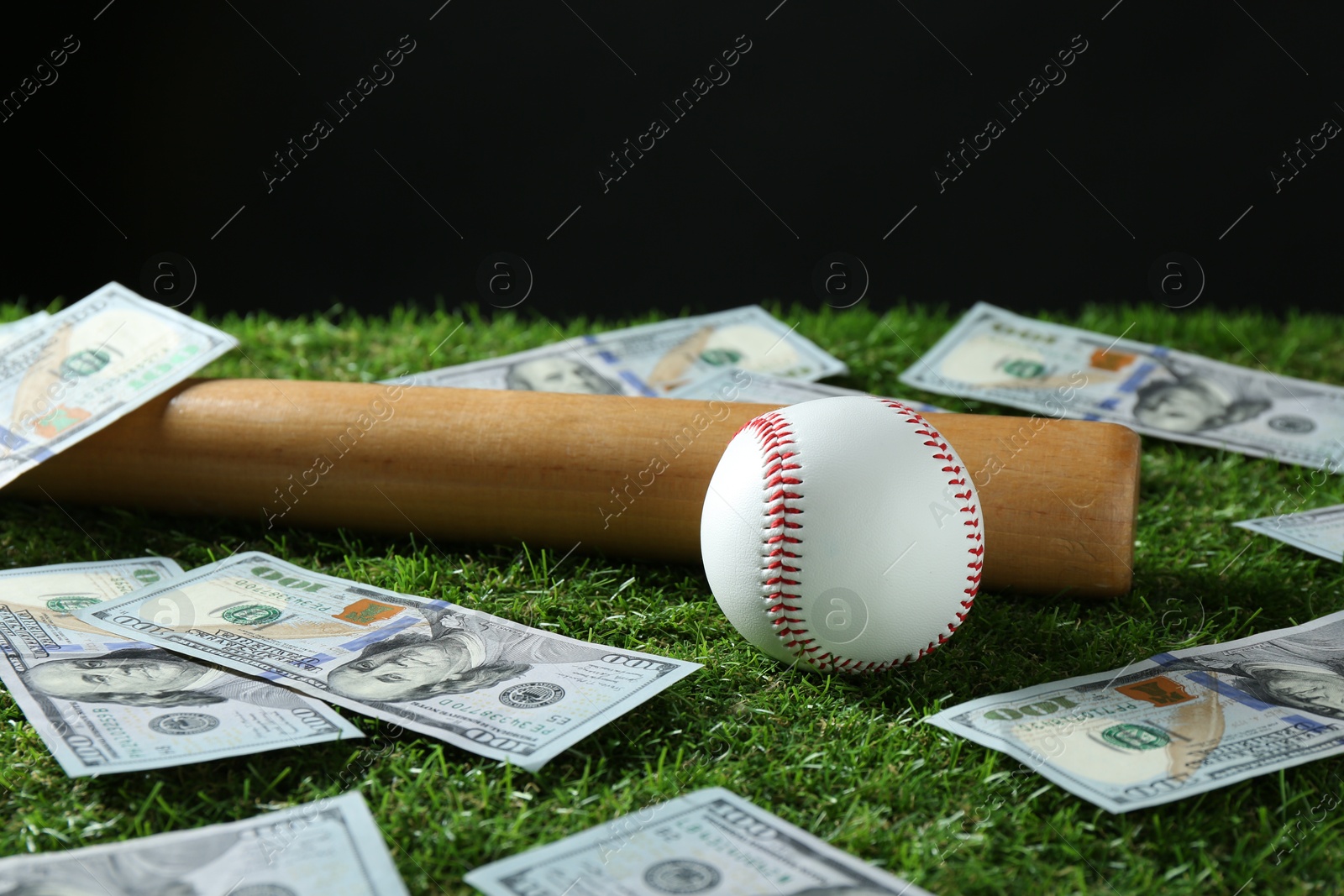 Photo of Baseball ball, bat and dollar banknotes on green grass