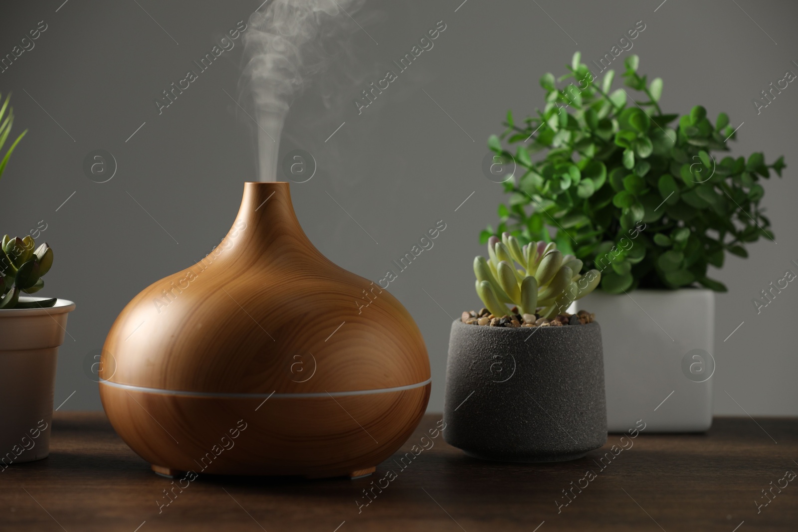 Photo of Aroma oil diffuser and houseplants on wooden table