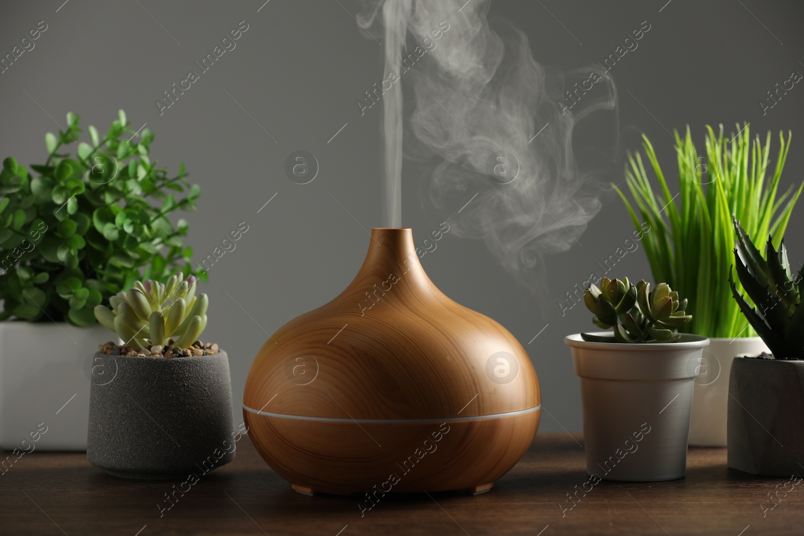 Photo of Aroma oil diffuser and houseplants on wooden table