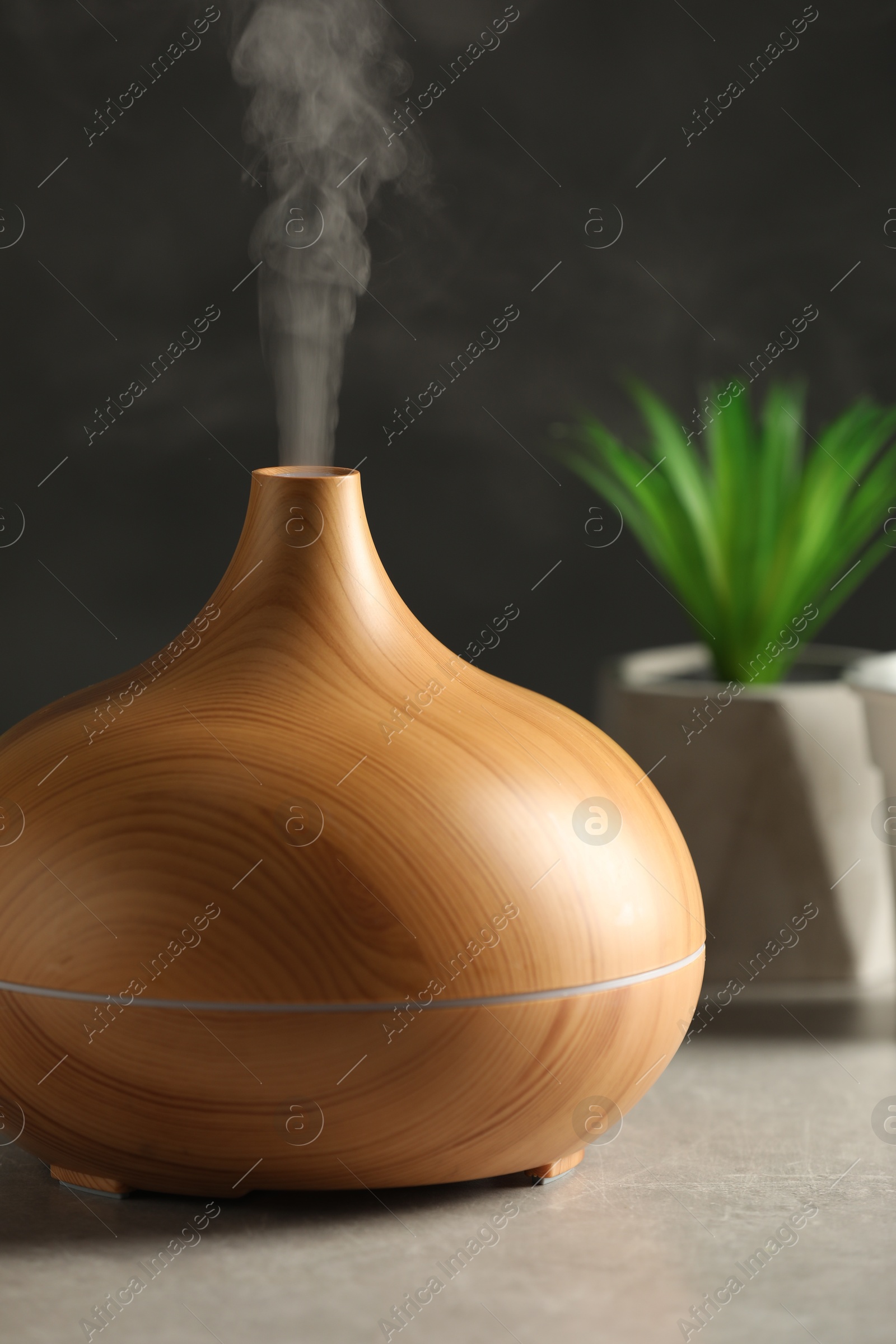 Photo of Aroma oil diffuser and plant on light grey table, closeup