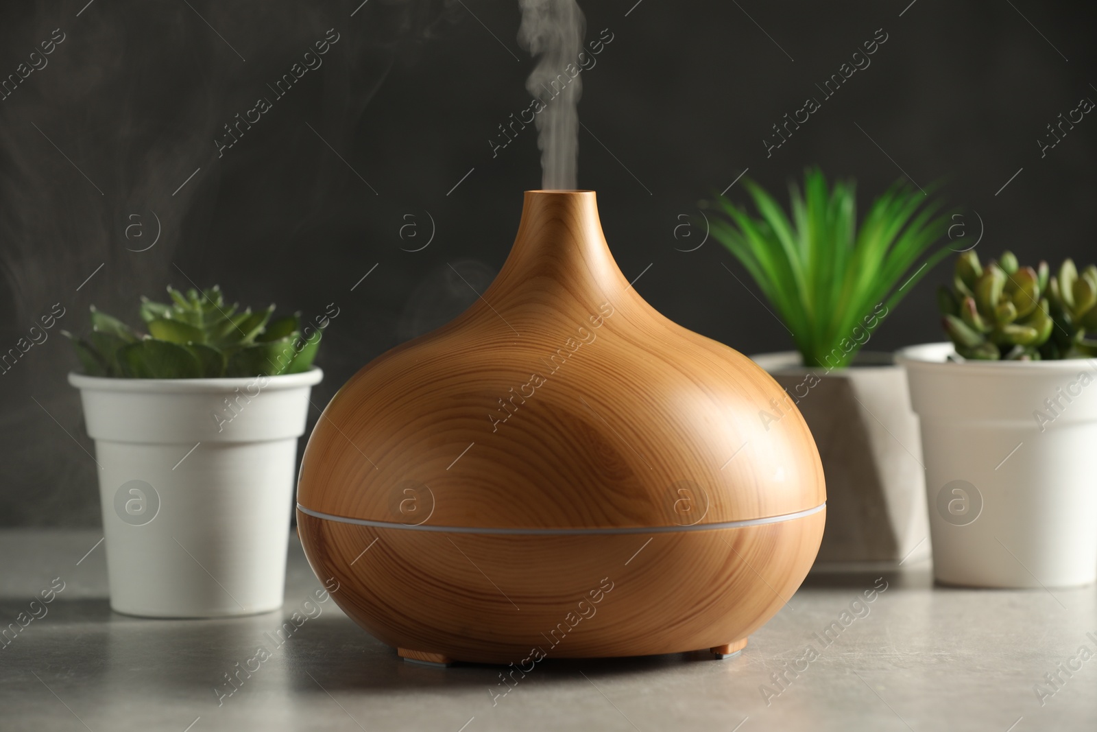 Photo of Aroma oil diffuser and houseplants on light grey table