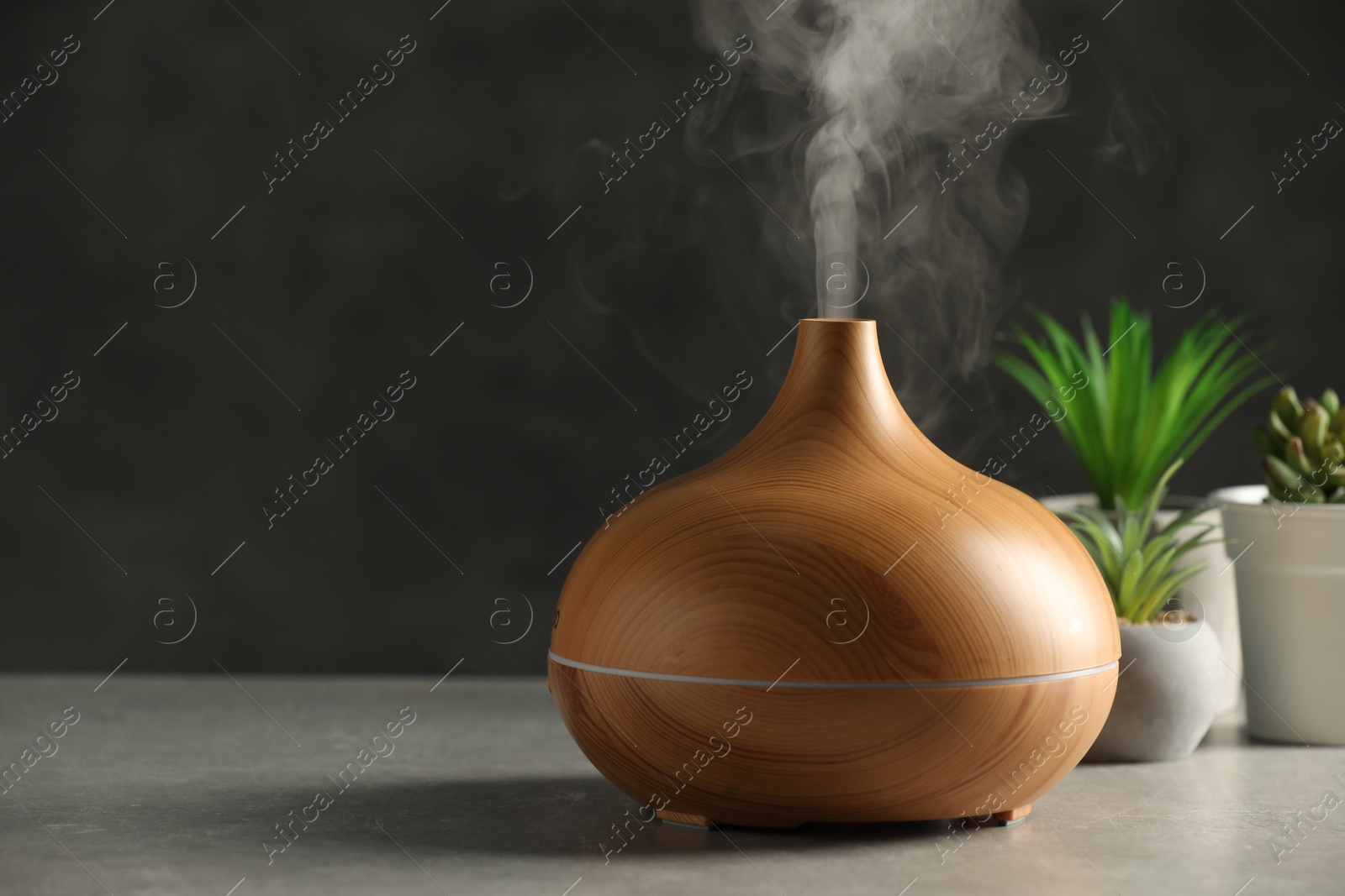 Photo of Aroma oil diffuser and houseplants on light grey table, space for text