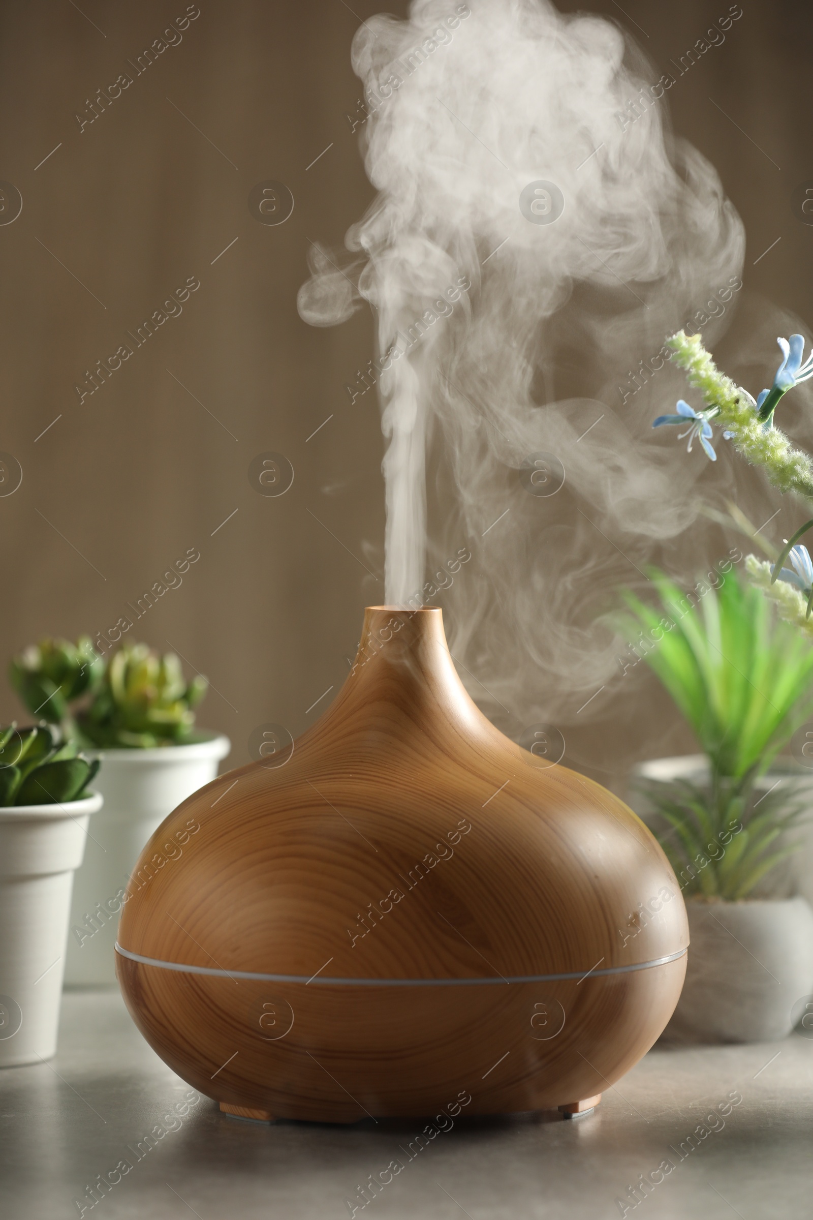 Photo of Aroma oil diffuser and houseplants on light grey table