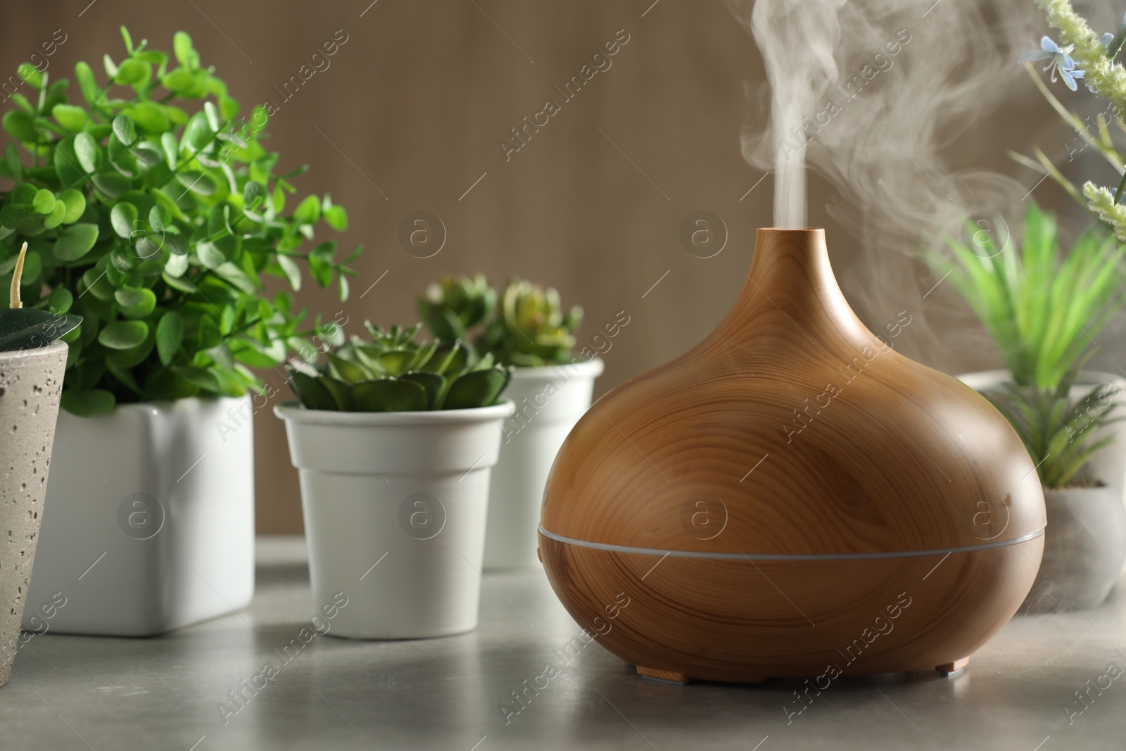 Photo of Aroma oil diffuser and houseplants on light grey table