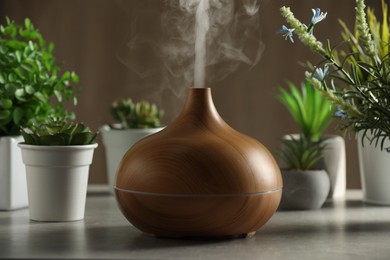 Aroma oil diffuser and houseplants on light grey table