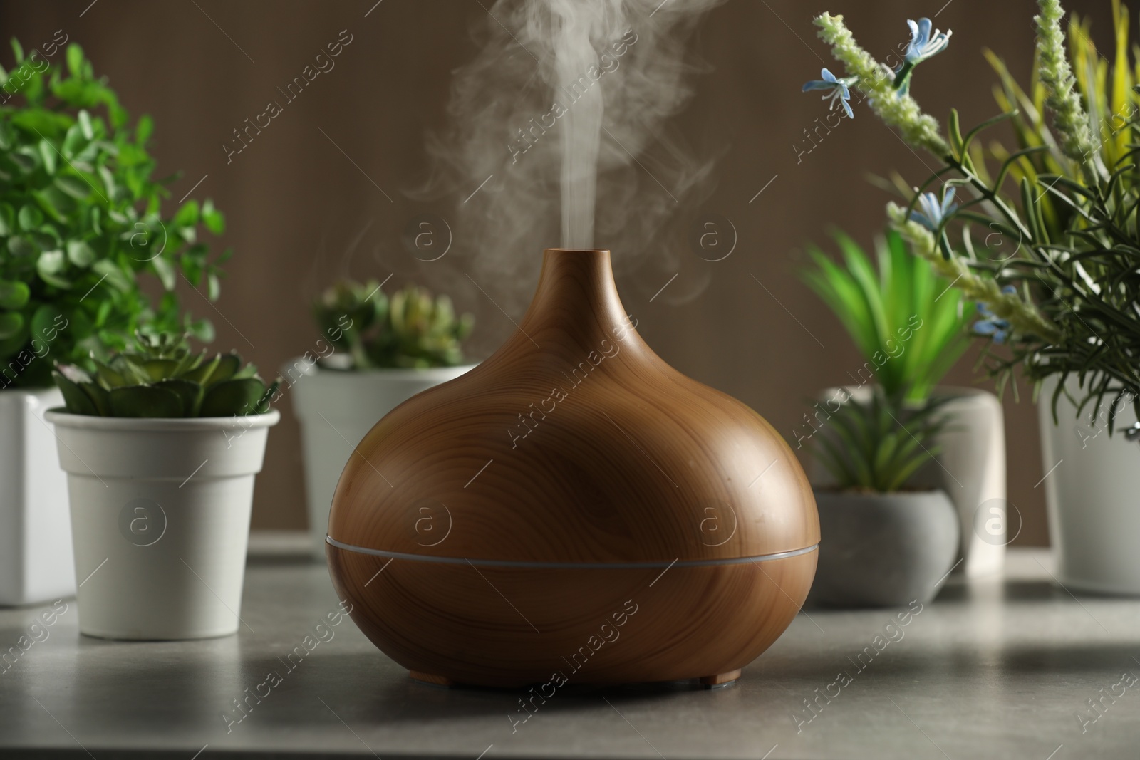 Photo of Aroma oil diffuser and houseplants on light grey table