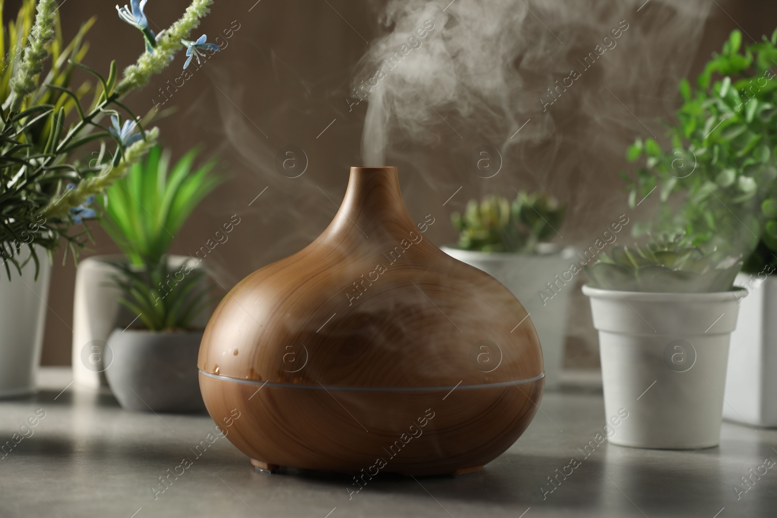 Photo of Aroma oil diffuser and houseplants on light grey table