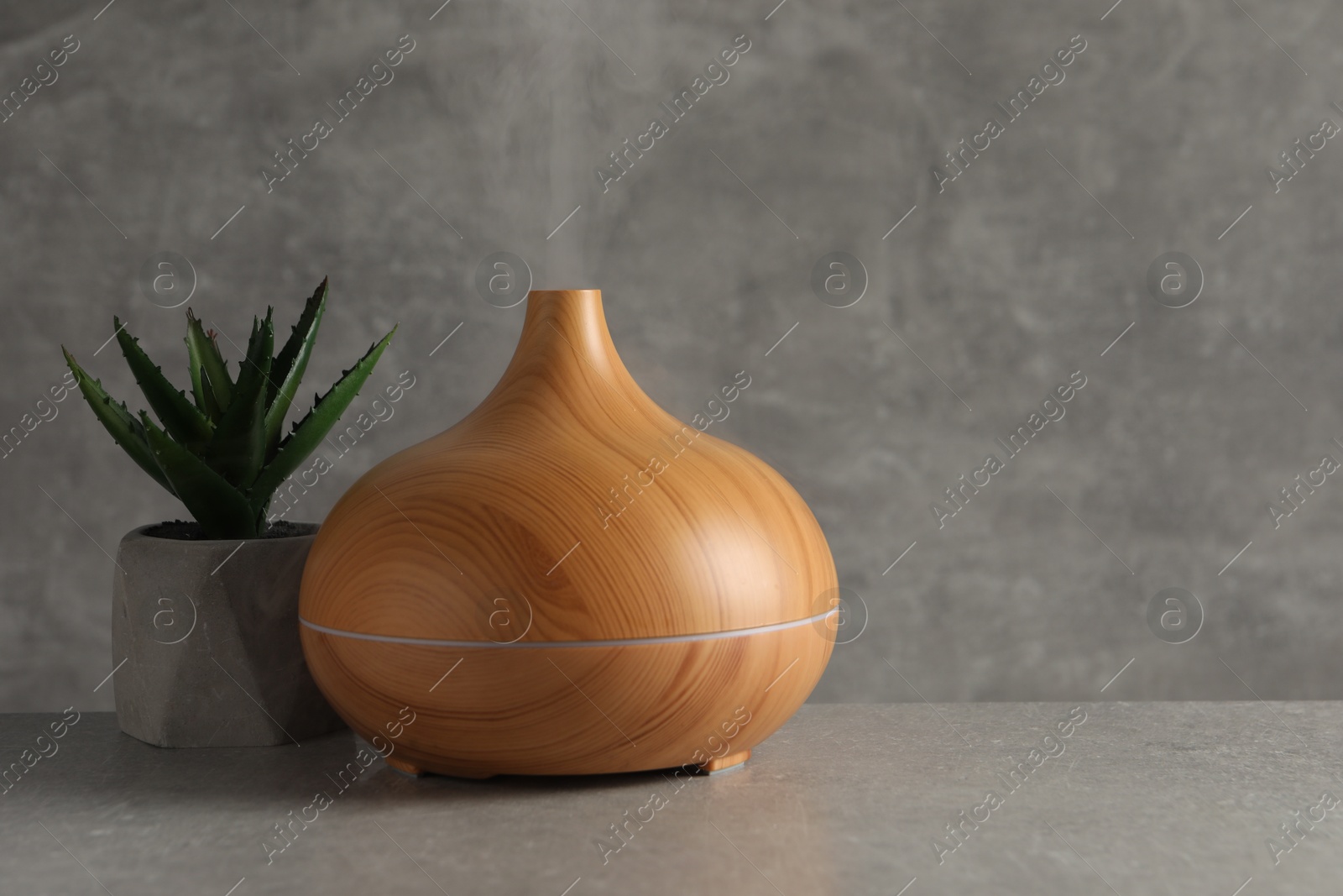 Photo of Aroma oil diffuser and plant on light grey table, space for text