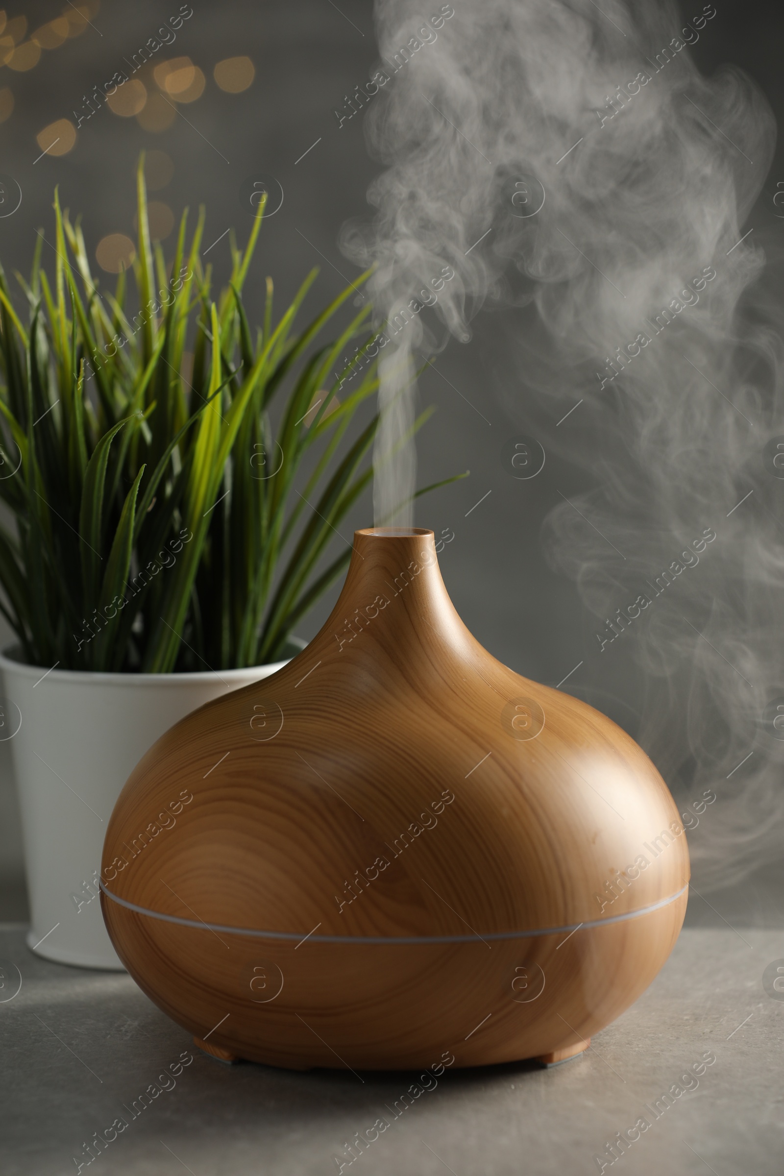 Photo of Aroma oil diffuser and plant on light grey table