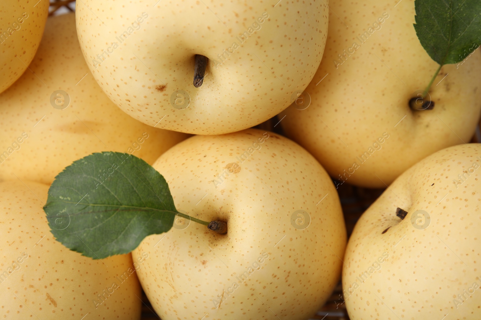 Photo of Delicious fresh apple pears and green leaves as background, closeup