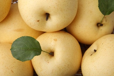 Delicious fresh apple pears and green leaves as background, closeup