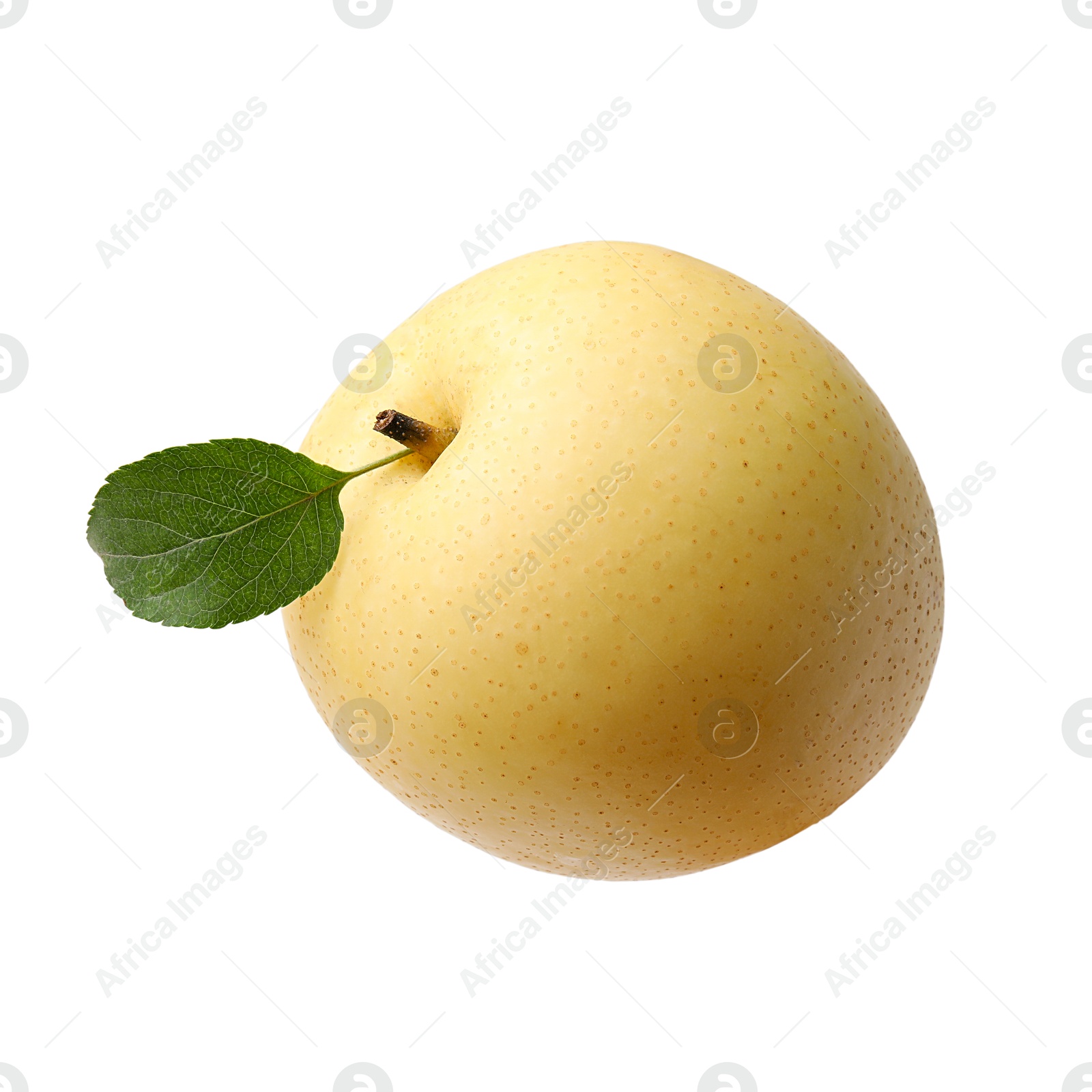 Photo of Delicious fresh apple pear with green leaf isolated on white