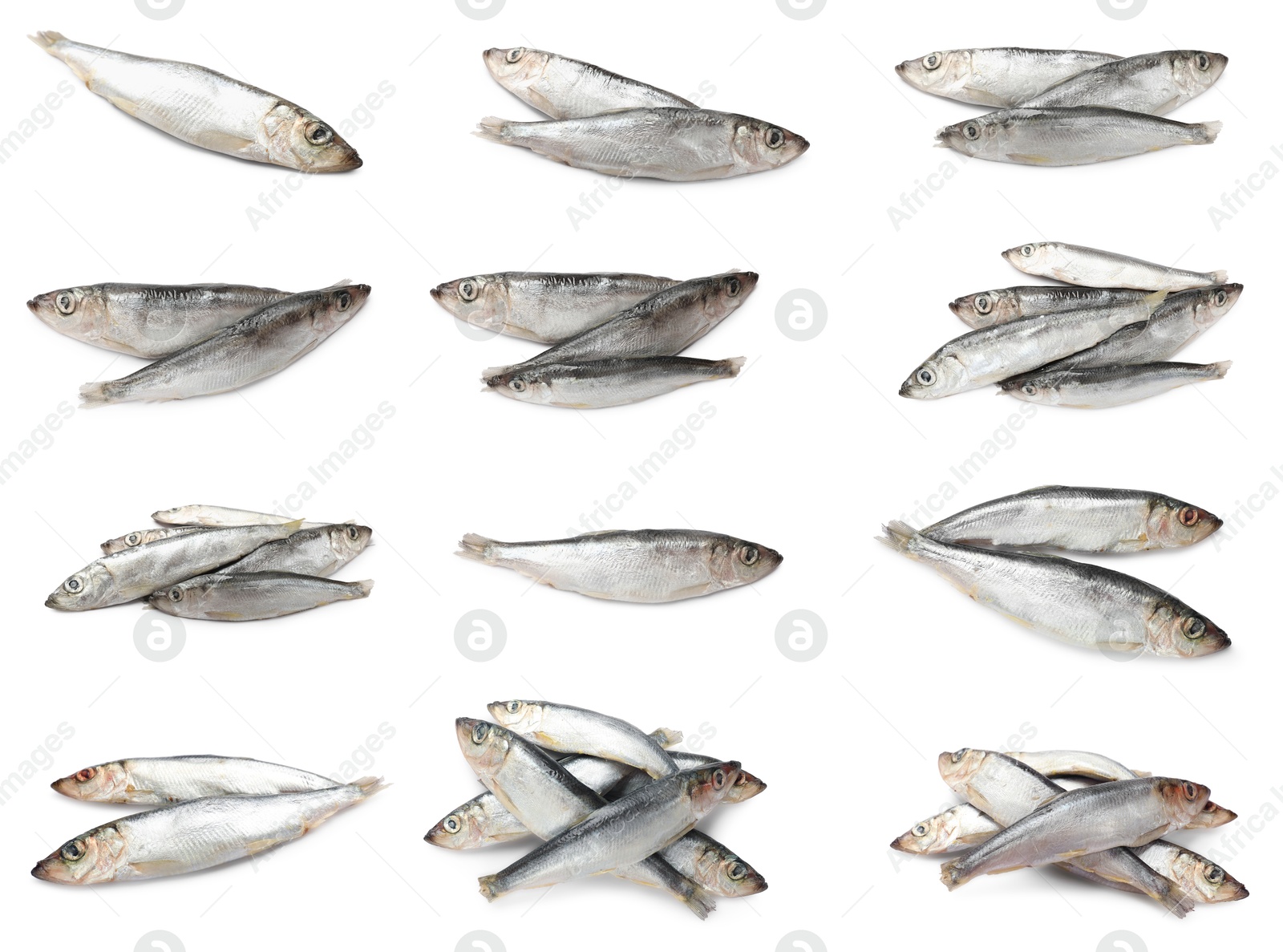 Image of Fresh raw sprats isolated on white, set