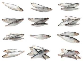 Image of Fresh raw sprats isolated on white, set