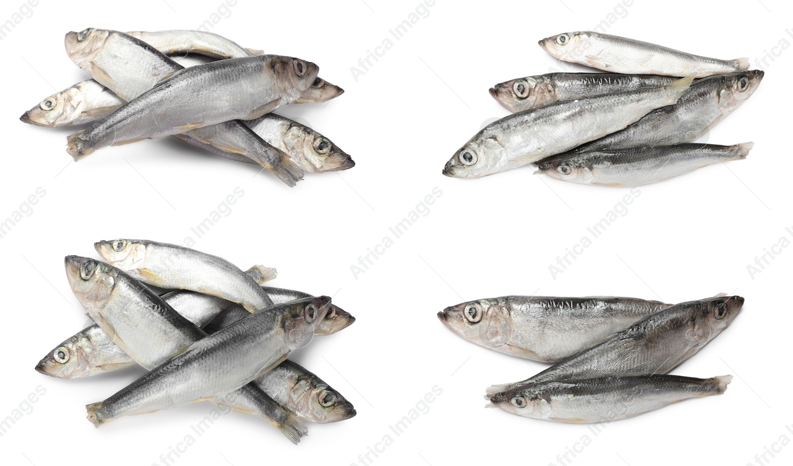 Image of Fresh raw sprats isolated on white, set