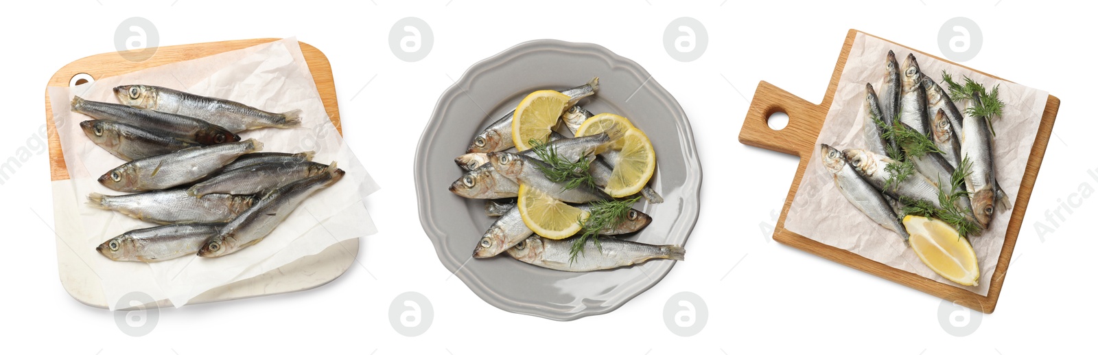 Image of Set of fresh raw sprats isolated on white, top view