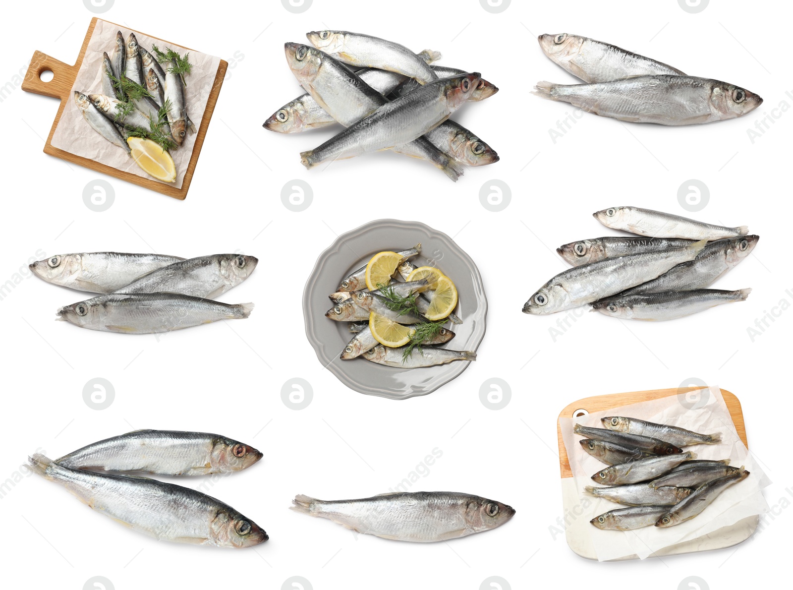 Image of Set of fresh raw sprats isolated on white, top view