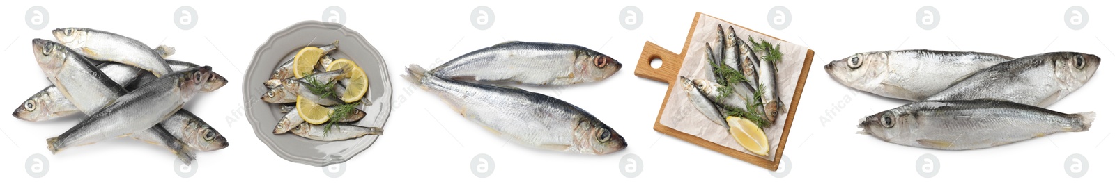 Image of Set of fresh raw sprats isolated on white, top view