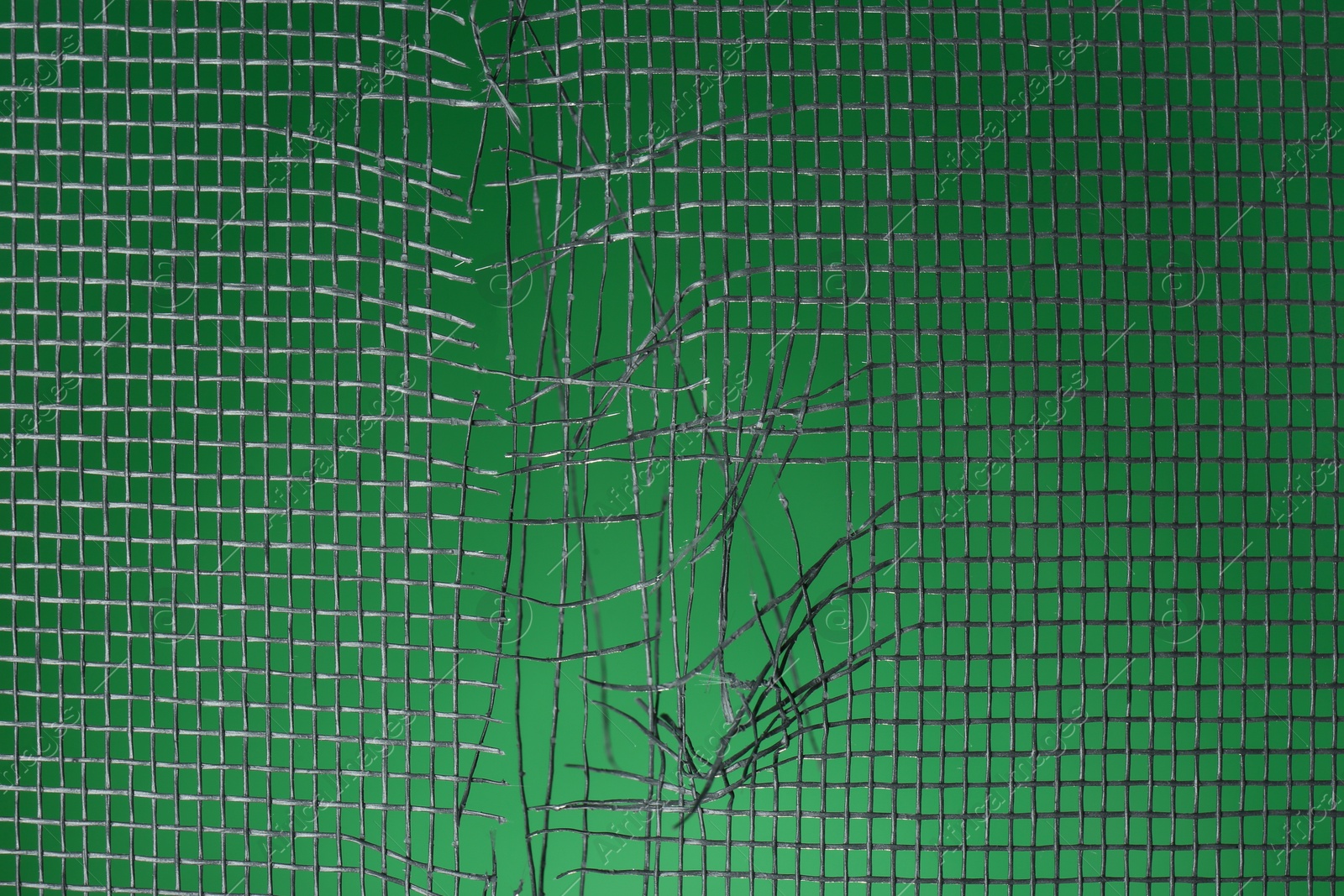 Photo of Torn window screen against green background, closeup