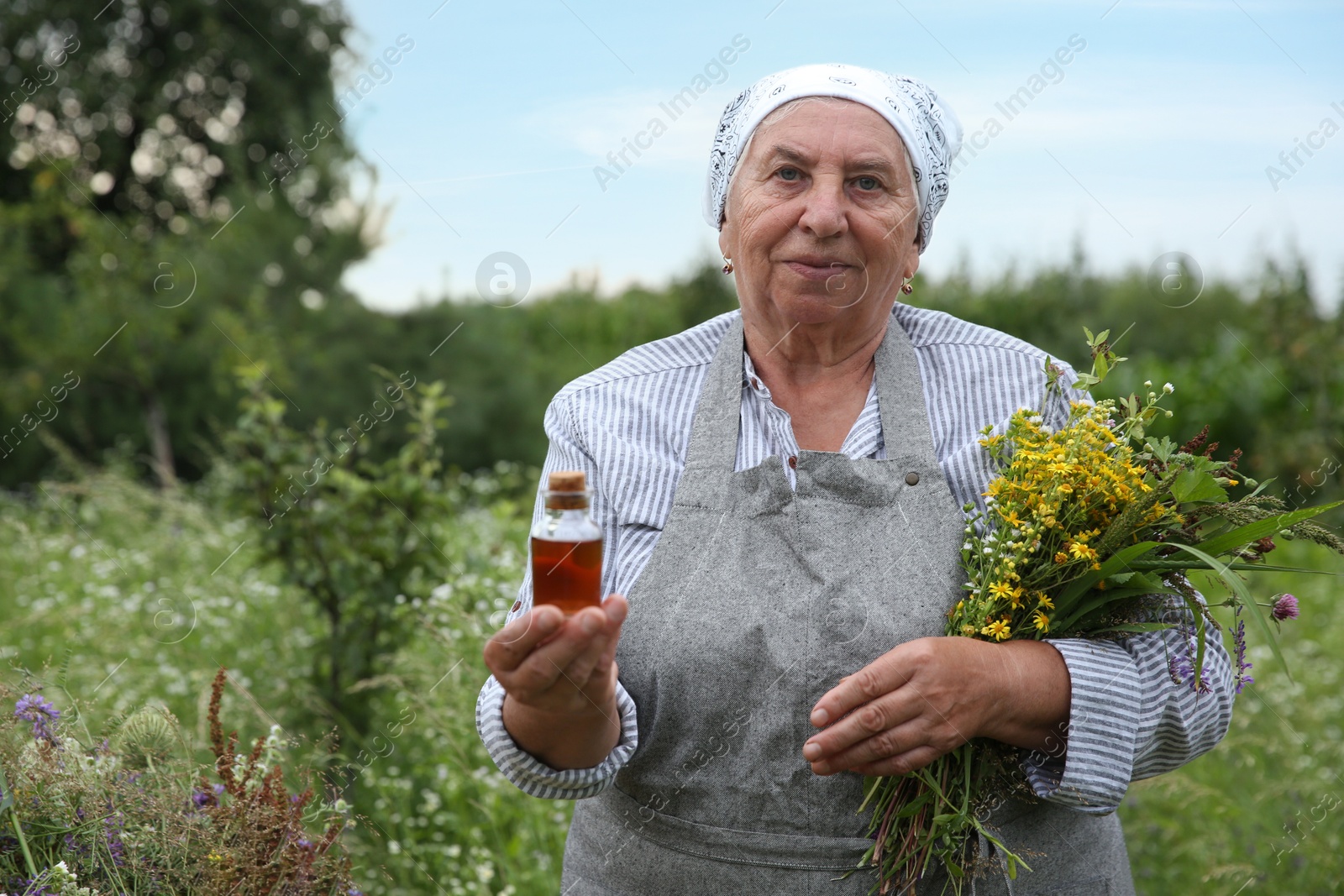 Photo of Senior woman with tincture and herbs outdoors, space for text