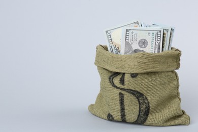 Photo of Dollar banknotes in bag on grey background, space for text