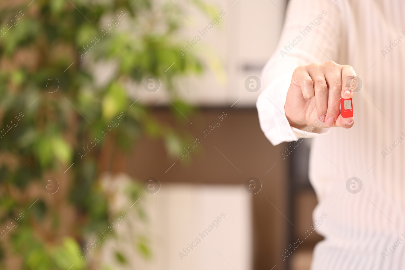 Photo of Woman holding SIM card indoors, closeup. Space for text