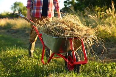 Photo of Farmer with wheelbarrow full of mown grass outdoors on sunny day, closeup