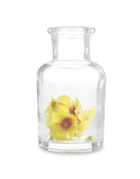 Photo of Beautiful mullein flowers in bottle isolated on white. Healing herb