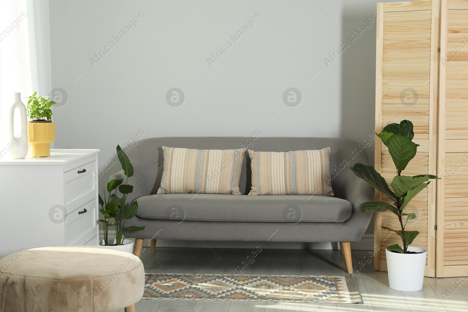 Photo of Wooden folding screen, sofa and houseplants in living room