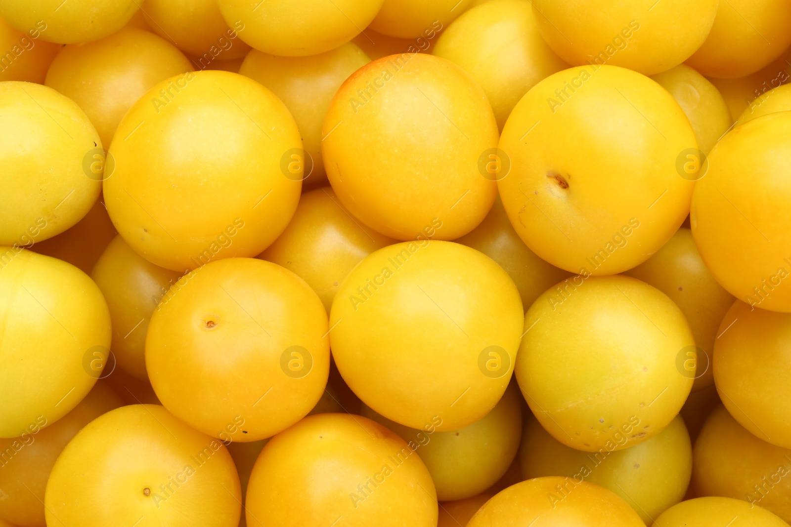 Photo of Many fresh plums as background, top view