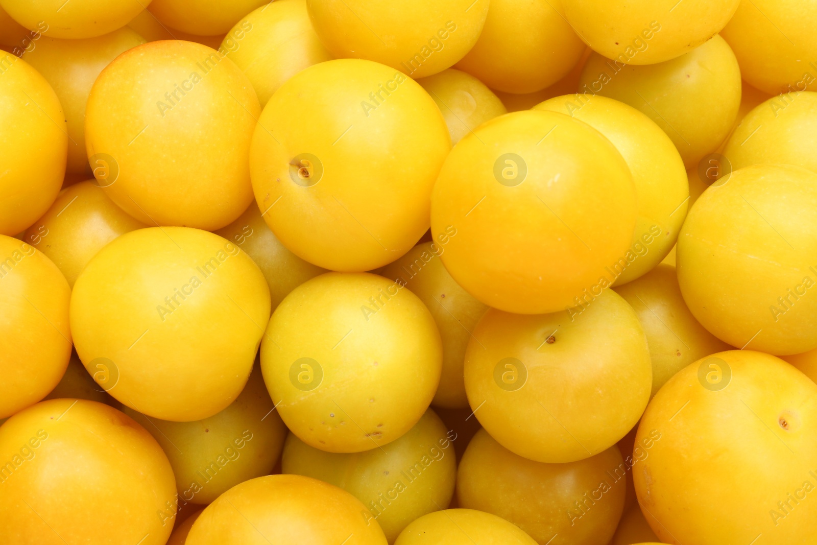 Photo of Many fresh plums as background, top view