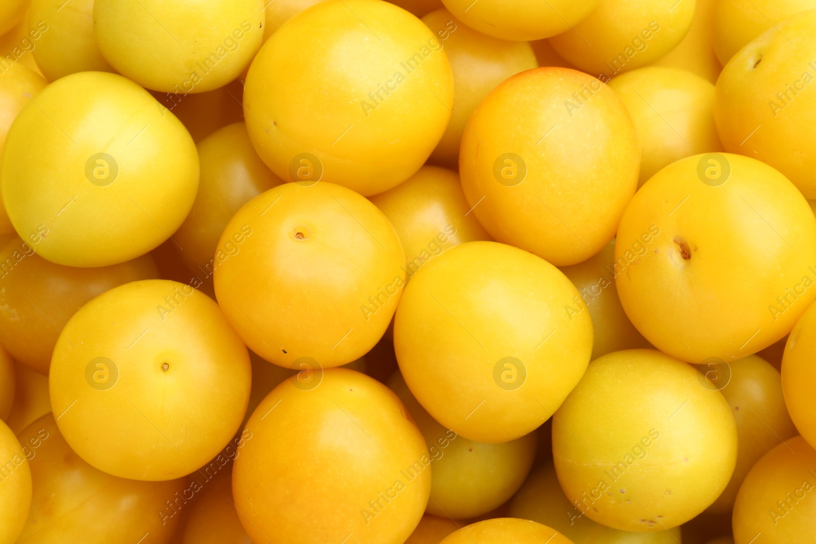 Photo of Many fresh plums as background, top view