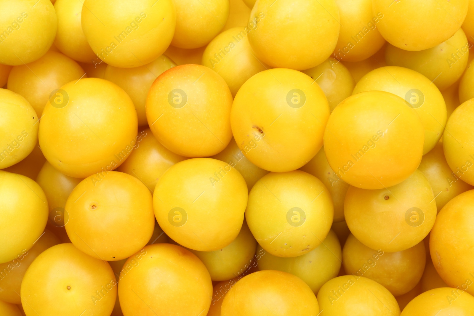 Photo of Many fresh plums as background, top view