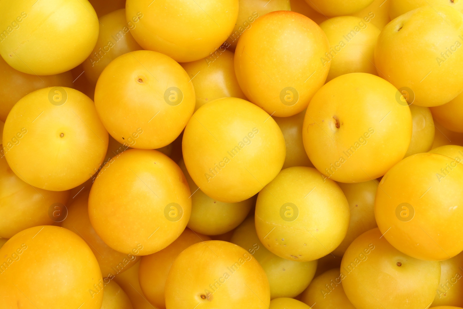 Photo of Many fresh plums as background, top view