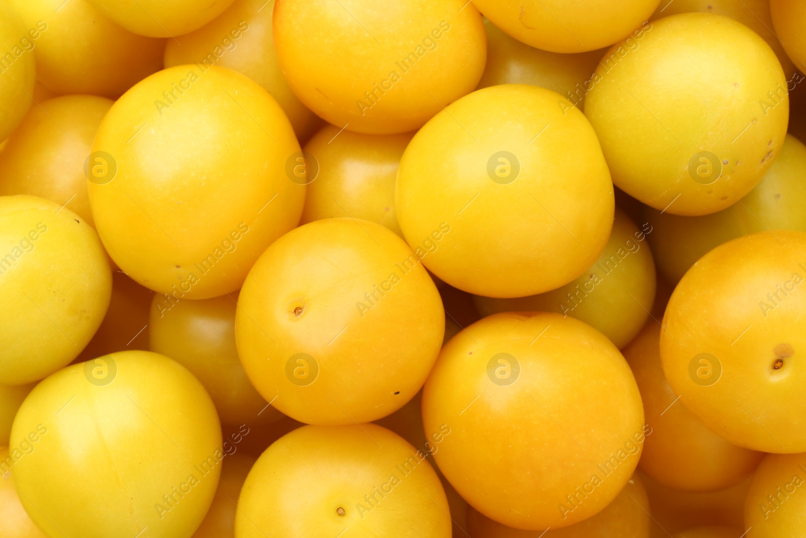 Photo of Many fresh plums as background, top view