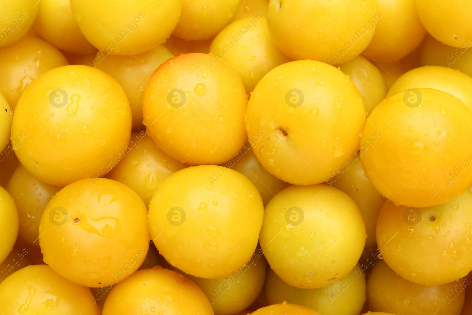 Photo of Many fresh plums with water drops as background, top view