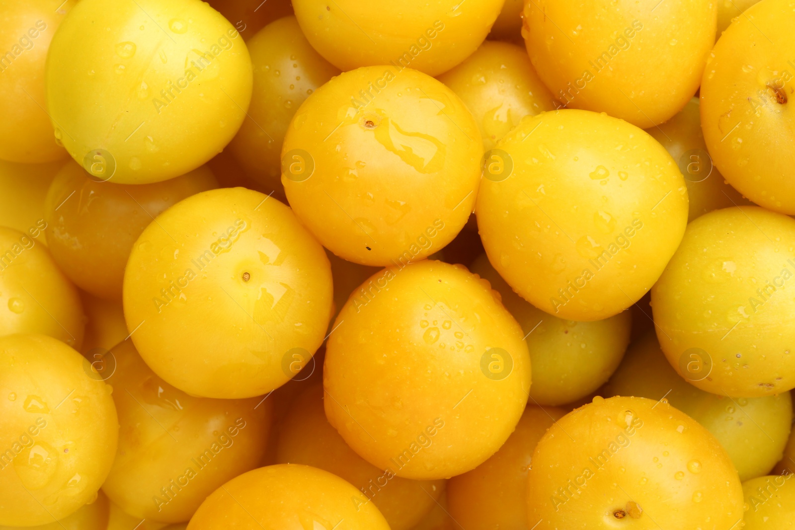 Photo of Many fresh plums with water drops as background, top view