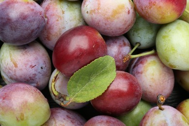 Photo of Many fresh plums and leaf as background, top view