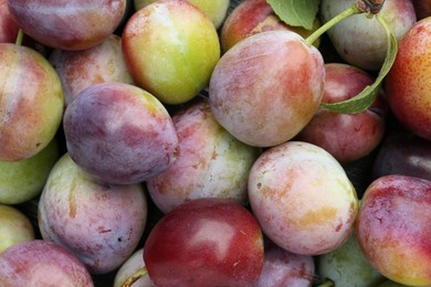 Photo of Many fresh plums and leaves as background, top view